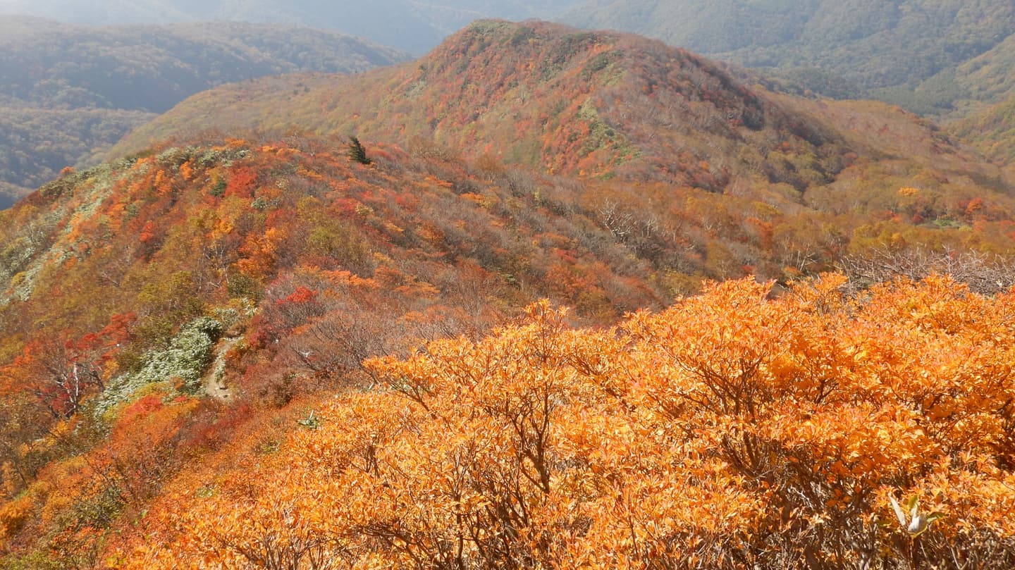 那須　隠居倉　紅葉