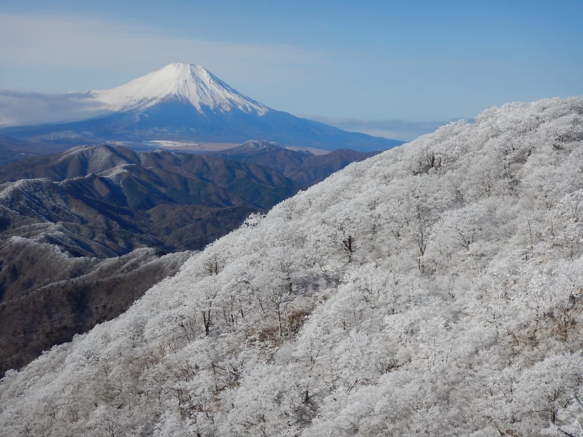 富士山