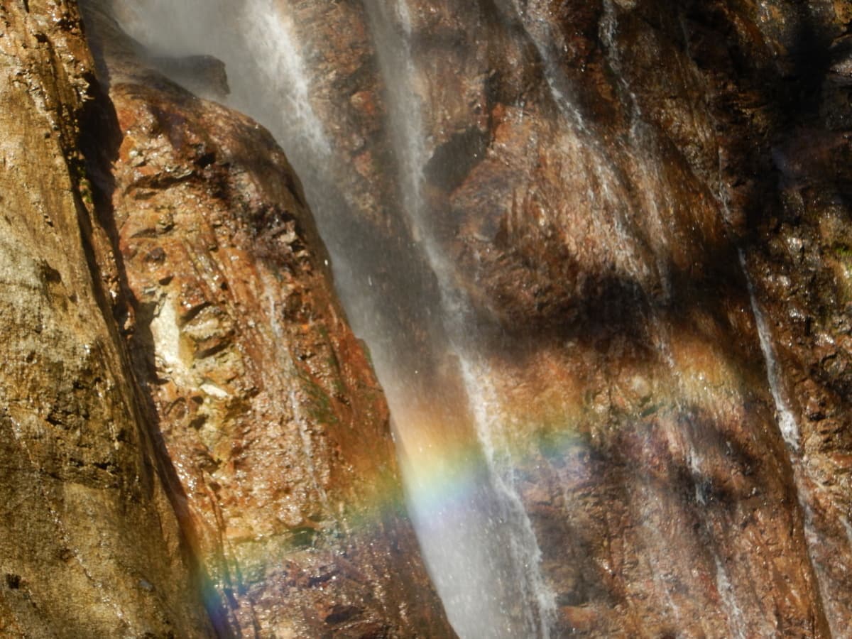 本棚　虹　畦が丸