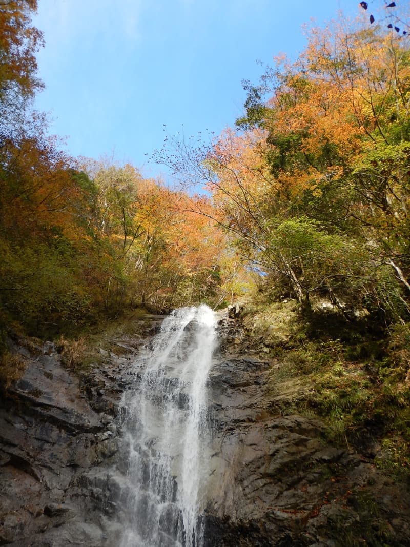 下棚　紅葉　畦が丸