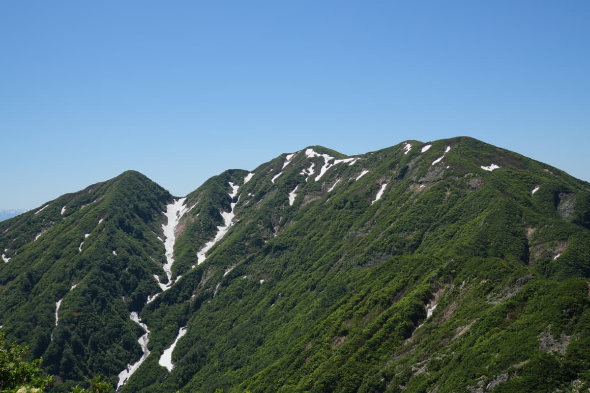 権の神岳
