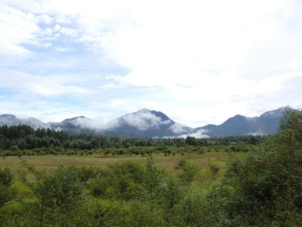 小田代原