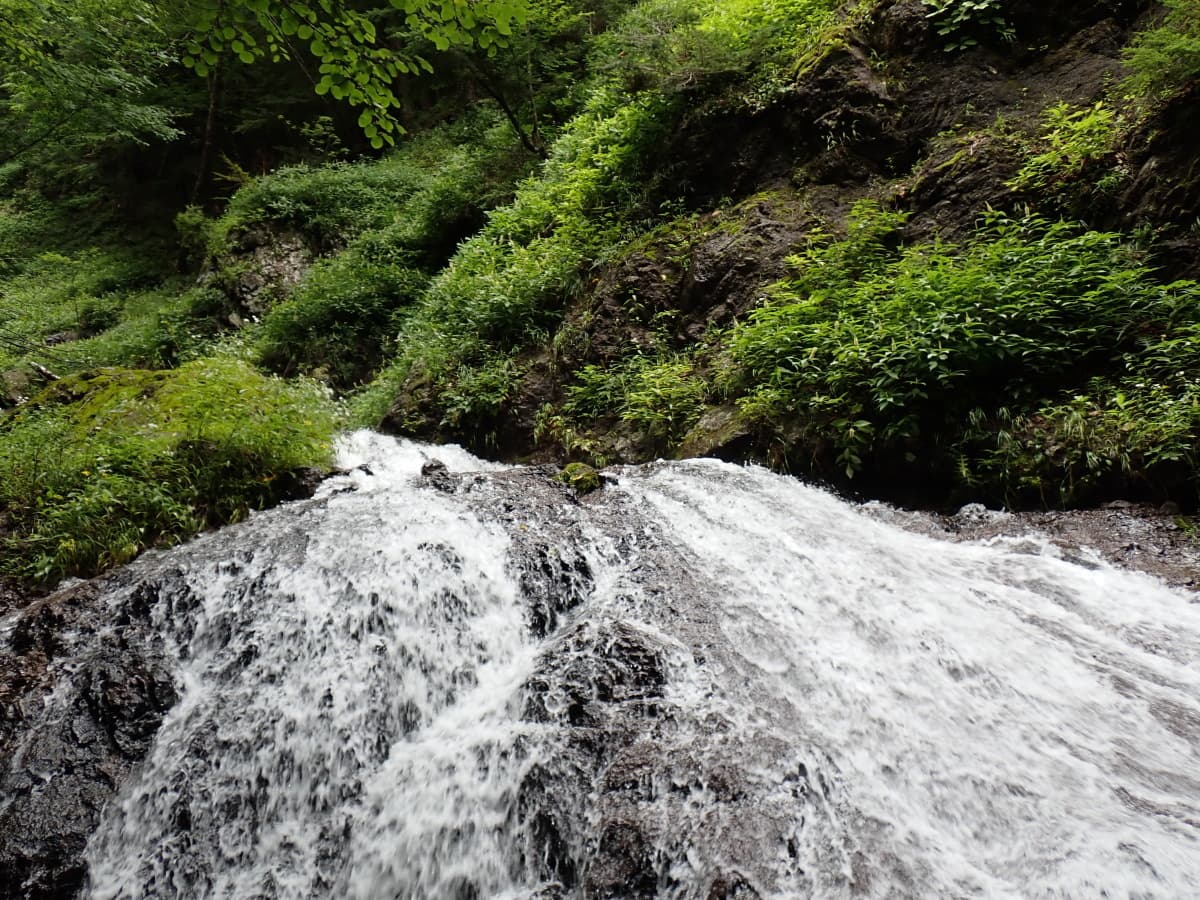 img20260902054816624660.jpg