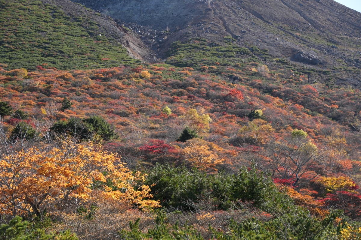 nasu_autumn4.jpg